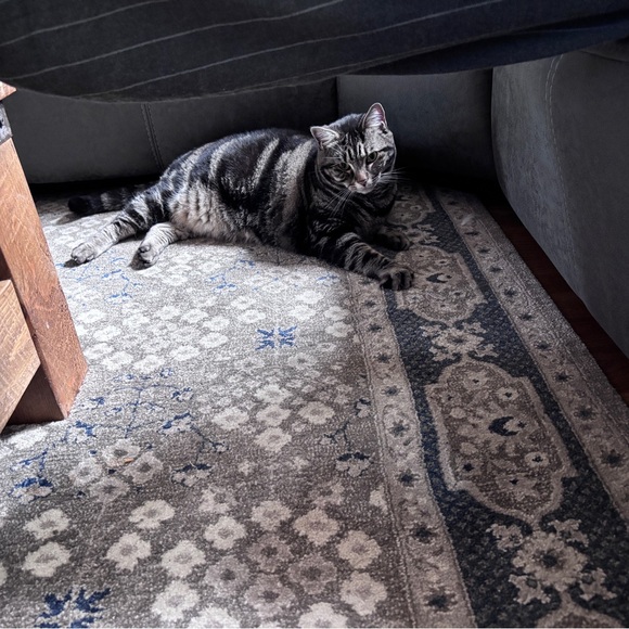 Meet your posher - Picture 6 of 6